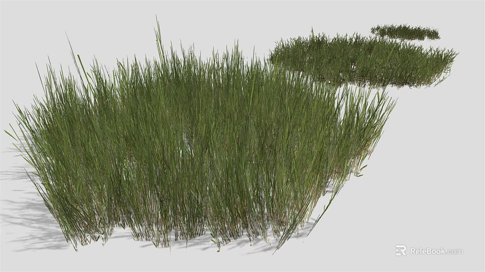 Vibrant Green Grass Clumps In Varied Heights For Garden Landscape Design 3d model 