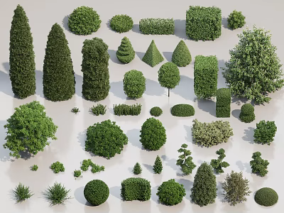 Various Arbor Trees With Different Pruned Shapes Sizes And Lush Green Foliage 3d model