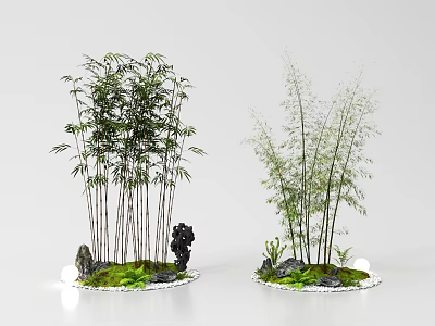 Bamboo Indoor Decorative Landscape With Rockery Green Moss White Pebbles And Ornaments 3d model