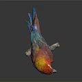 Red Parrot With Vibrant Red And Blue Feathers Perched On Wooden Branch