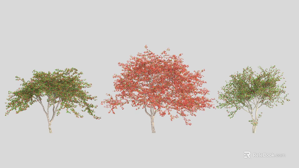 Arbor Trees Featuring Red And Green Foliage In Vibrant Garden Landscape 3d model 