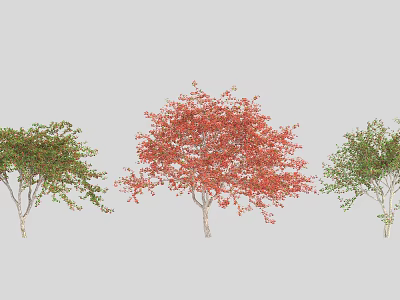 Arbor Trees Featuring Red And Green Foliage In Vibrant Garden Landscape 3d model