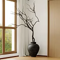 Bonsai Plant in Black Clay Pot by Indoor Window with Bare Branches White Curtain Wooden Frame and Green View Outside