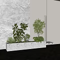 Indoor Plant Combination In White Rectangular Planter With Various Green Plants For Modern Minimalist Interior 3d model