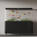 Modern Aquarium Fish Tank With Colorful Fish Aquatic Plants And Rock Decorations On Black Cabinet