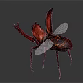 Red Beetle Sculpture With Large Forelegs Transparent Wings And Shiny Metallic Body