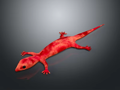 Vibrant Red Reptile Lizard with Detailed Skin Texture on Gray Surface 3d model
