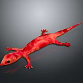 Vibrant Red Reptile Lizard with Detailed Skin Texture on Gray Surface