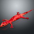 Lizard Anime Lizard Cartoon Lizard Reptile Cold Blooded Animal Reptile Reptile 3d model