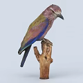 Colorful Bird with Purple Blue and Green Feathers Perched on Wooden Tree Stump