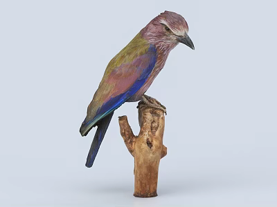 Colorful Bird with Purple Blue and Green Feathers Perched on Wooden Tree Stump 3d model