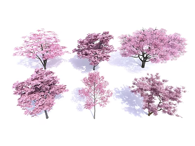 Pink Flowering Trees with Various Shapes for Garden Landscape Design 3d model