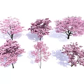 Pink Flowering Trees with Various Shapes for Garden Landscape Design