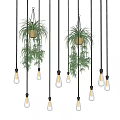 Modern Interior Decoration With Hanging Glass Bulb Pendant Lights And Green Plants