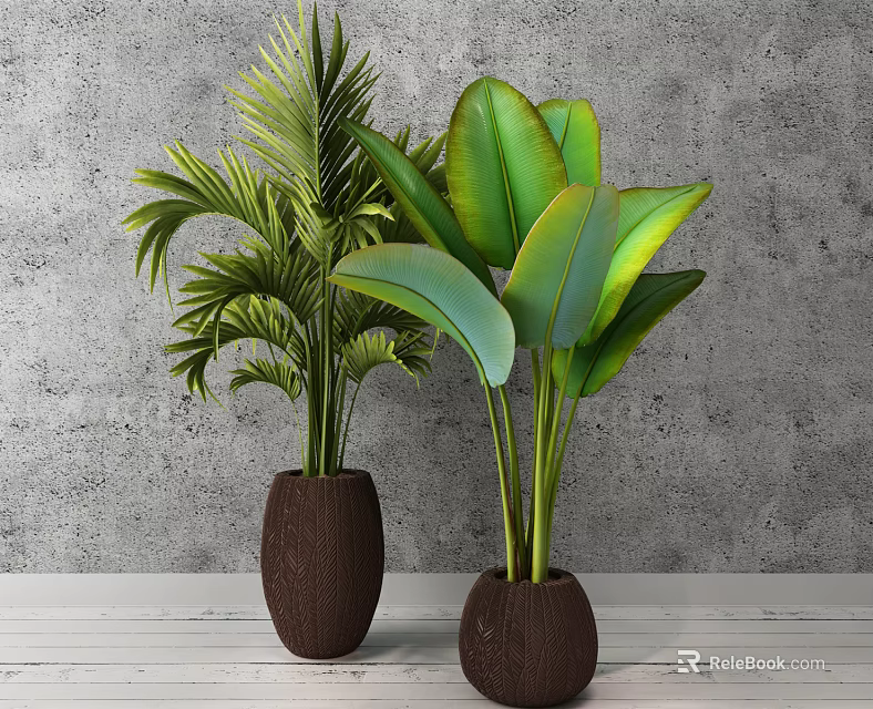Potted Plants With Green Leaves And Palm Fronds In Brown Pots Against Gray Wall 3d model 