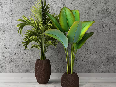 Potted Plants With Green Leaves And Palm Fronds In Brown Pots Against Gray Wall 3d model