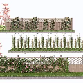 Beautiful Vines Growing On Wooden Garden Fence With Lush Leaves And Pink Blooms
