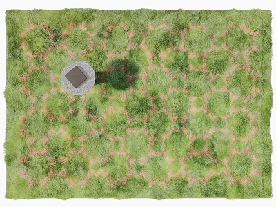 Square Carpet With Green Grass Pattern Central Square Design And Red Lines 3d model