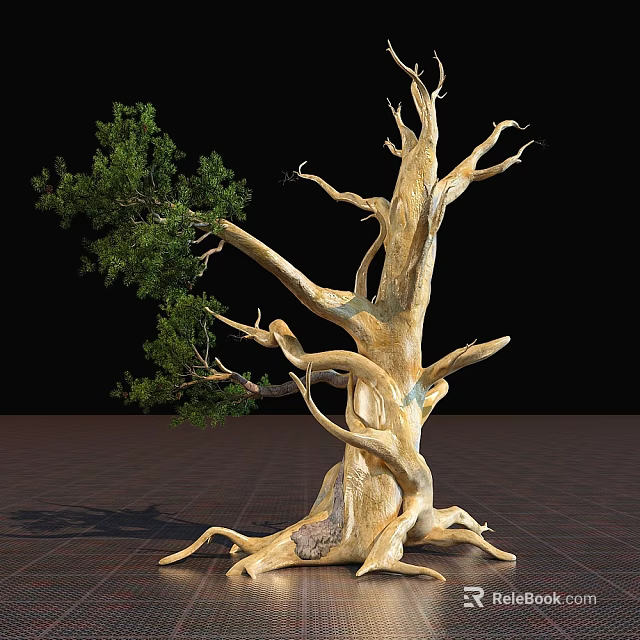 Arbor With Thick Trunk Twisted Branches And Green Leaves Against Black Background On Grid-Patterned Ground 3d model 