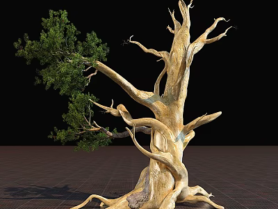 Arbor With Thick Trunk Twisted Branches And Green Leaves Against Black Background On Grid-Patterned Ground 3d model