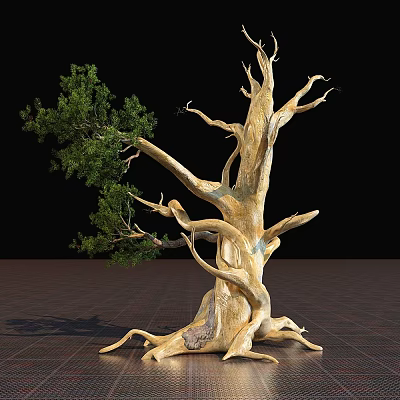 Arbor With Thick Trunk Twisted Branches And Green Leaves Against Black Background On Grid-Patterned Ground 3d model