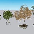 Diverse Plant Combination Featuring Four Different Tree Types With Decorative Bases 3d model