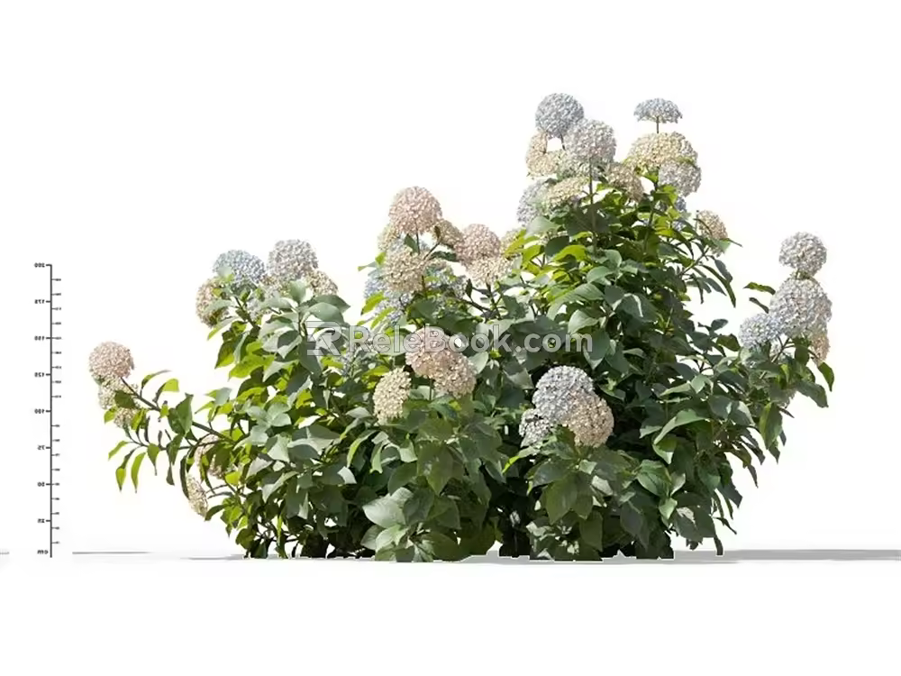 Modern Hydrangea 3d model