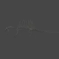 Spinosaurus Dinosaur Skeleton With Prominent Spine And Detailed Bone Structure