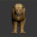 Realistic Majestic Male Lion With Golden Mane Standing On Reflective Surface