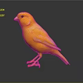 Yellow Bird Standing On Black Surface With Reflection In Studio Lighting