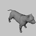 Realistic Brown and White Dog Game Movie Character 3D Model with Alert Expression