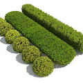 Green Well Trimmed Shrubs Round and Rectangular Shapes For Garden Landscaping Design