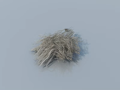 Thatched cottage 3d model