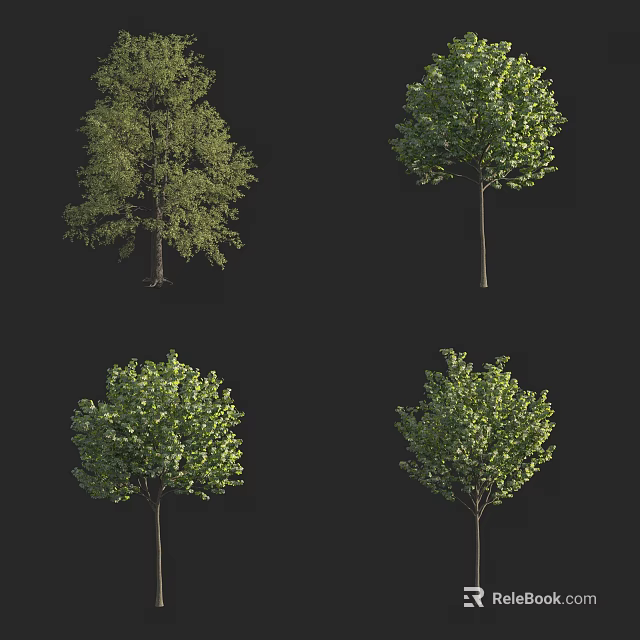Four Arbor Trees With Lush Green Foliage And Distinct Growth Forms Displayed 3d model 