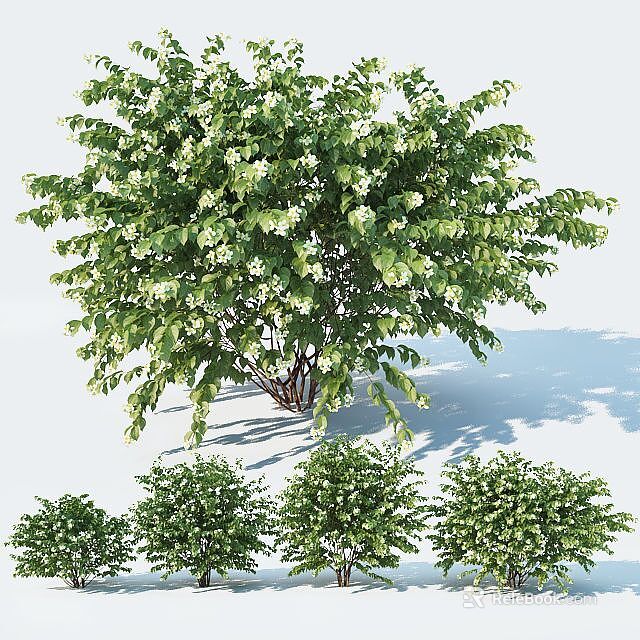 Green Shrub with White Flowers and Smaller Shrubs in Garden Landscape 3d model 
