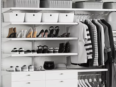 Organized Wardrobe With Gray And White Storage Boxes Various Shoes Hanging Garments And Drawers 3d model