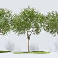 Modern Tree Landscape Tree Arbor Trees 3d model