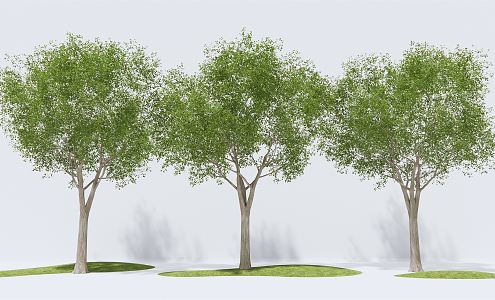 Modern Tree Landscape Tree Arbor Trees 3d model