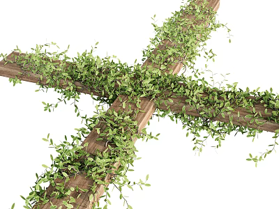 Lush Green Vines and Leaves Covering Crossed Wooden Frames in Garden 3d model