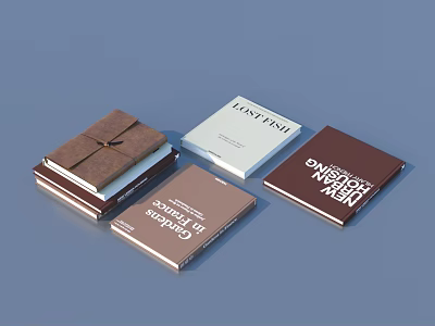 Books and Magazines With Different Colored Covers and Various Titles 3d model