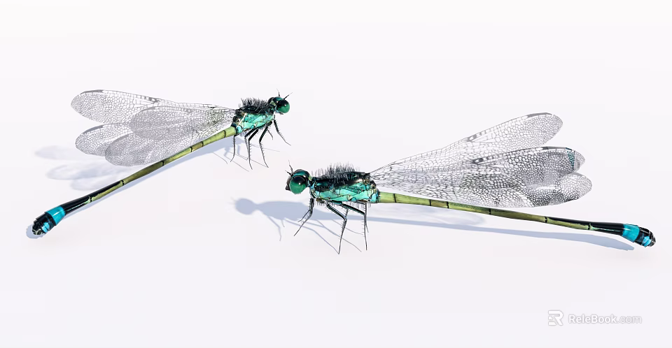 Two Vibrant Green Dragonflies With Transparent Wings On White Background Surface 3d model 