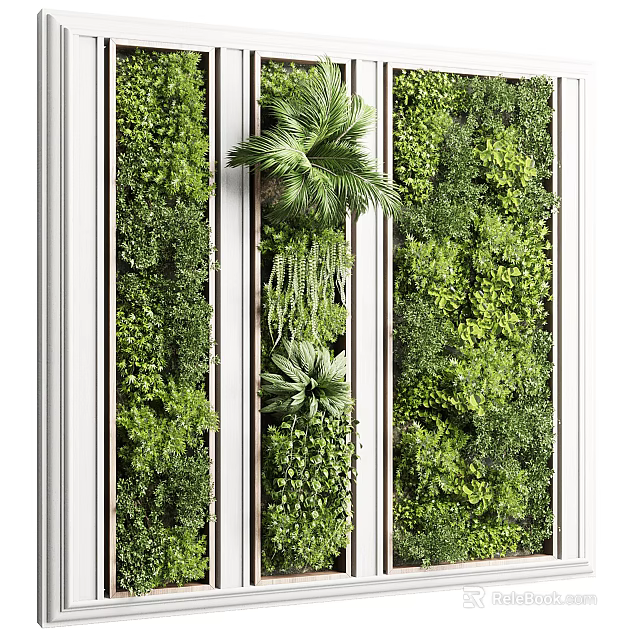 Lush Green Living Wall Design With Various Plant Species And White Frame Details 3d model 