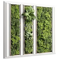 Lush Green Living Wall Design With Various Plant Species And White Frame Details
