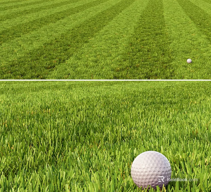 Lush Green Grass Lawn With Well Maintained Turf In Natural Outdoor Setting 3d model 