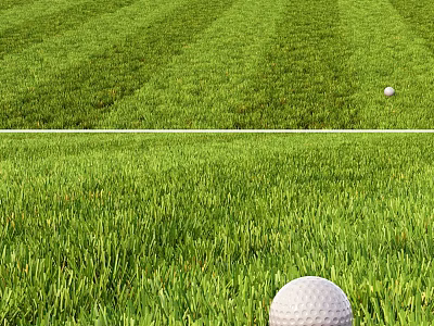 Lush Green Grass Lawn With Well Maintained Turf In Natural Outdoor Setting 3d model