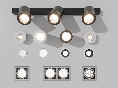 Different Designs of Downlights and Spotlights Including Track Mounted and Recessed Styles 3d model