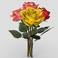Colorful Roses Bouquet With Yellow Pink White Red Flowers And Green Leaves