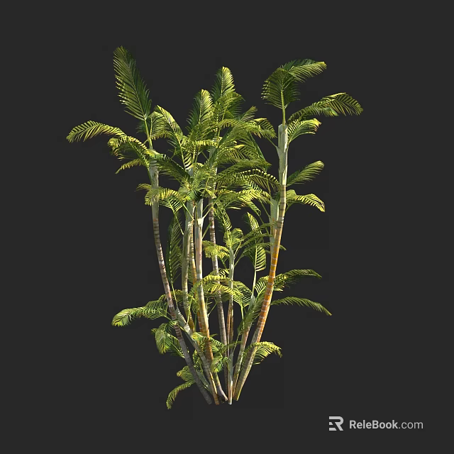 Tall Palm Trees With Lush Green Fronds And Sturdy Trunks In Natural Scene 3d model 