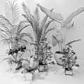 Bonsai Potted Plants with Various Colorful Flowers and Pots on Wooden Floor Gray Wall