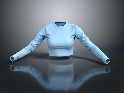Fashionable Light Blue Long Sleeve Cropped Top for Daily Casual Wear 3d model